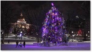 Boston Common, Christmas Tree, Massachusetts State House, 2023