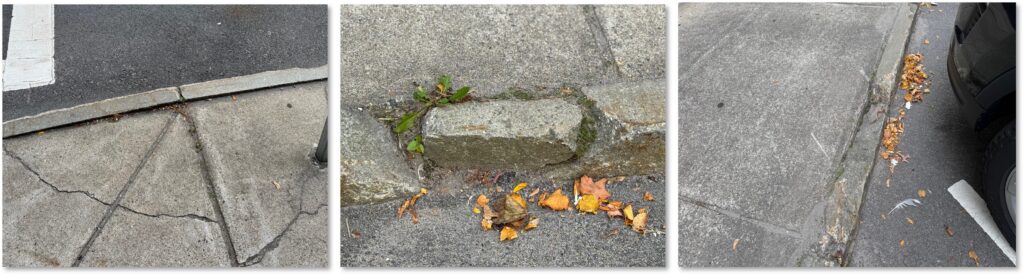 Flynn Cruiseport, sidewalk, improvements, revenue, safety