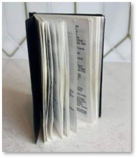 Epstein's Black Book, pedophiles, names, redacted